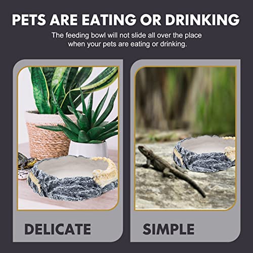 Ipetboom Bebedouro De Tigela De Comida De Lagarto Recinto Para Répteis Comedouro De Lagartixa Comedo