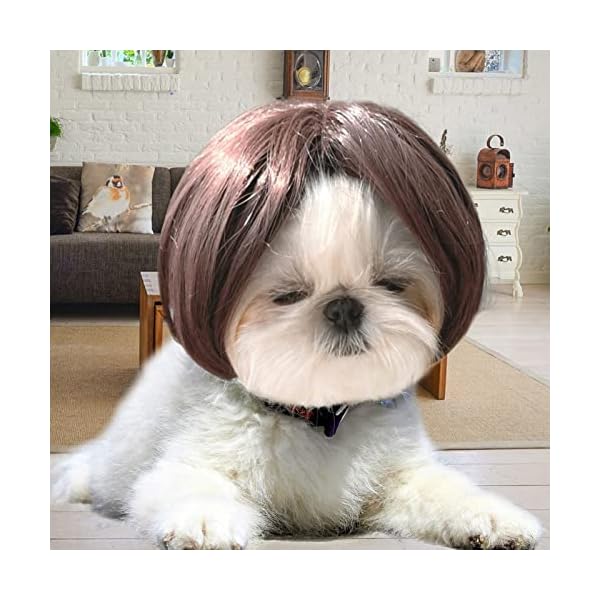 Funny dog cat cosplay wig, pet wigs, for halloween, christmas, parties, festivals, dog wigs for small medium and large dogs - image 6