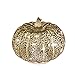 Romingo Mercury Glass Pumpkin Light with Timer for Halloween Pumpkin Decorations Fall Decor,Silver, 5.5 inches