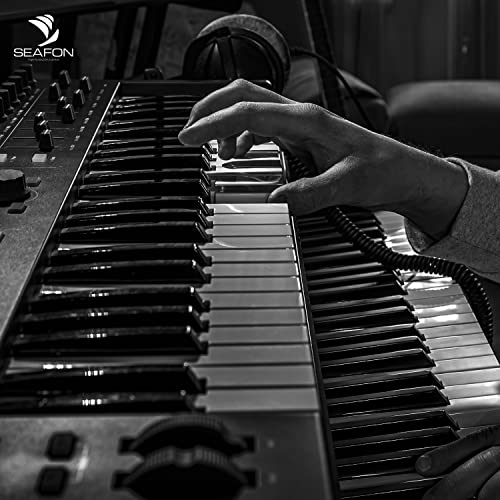 Teclados Y Pianos, Musical Instruments Imagen adicional