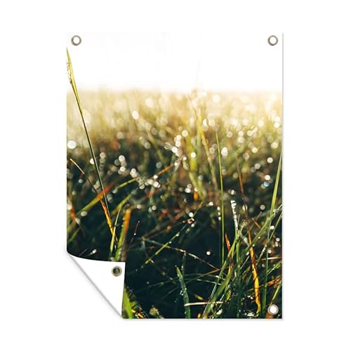 MuchoWow Poster exterieur Champ d'herbe - herbe de la pampa Decoration murale 90x120 cm Résistant aux intempéries/soleil