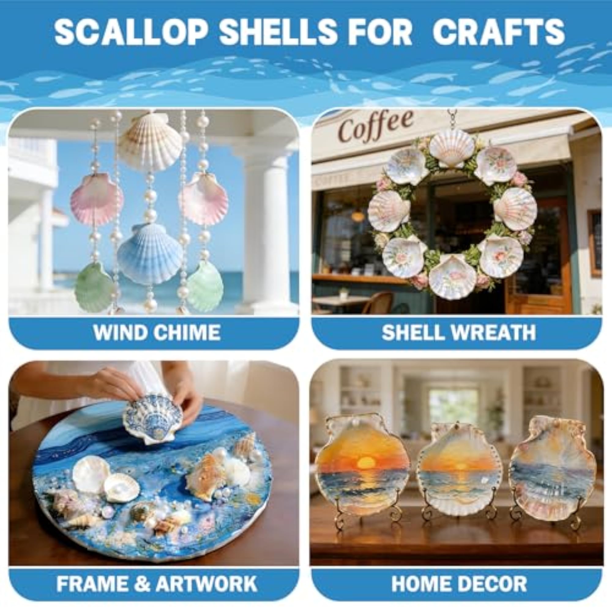 Large Scallop Shells for Crafts, Natural Sea Shells