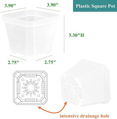 Miniatura 10 de BangQiao Paquete de 60 macetas cuadradas de plástico pequeñas de 2.70 pulgadas, maceta para inicio de plantas y trasplante con orificio de drenaje