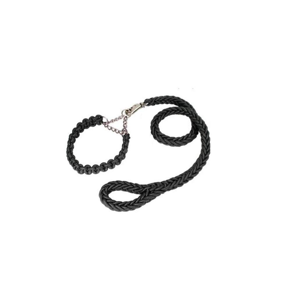 REYG Laisse De Dressage pour Chiens Laisse De Dressage pour Chiens à Double Extrémité pour Collier De Tête Et Harnais sans Tirette Laisse De Dressage Noire pour Petits Chiens Et Chiens,Black