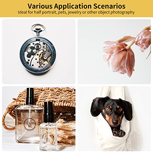 Selens 3.3X6.5Ft/1X2M White Pvc Backdrop For Photography, Pvc Matte Vinyl Seamless Background Non-Reflection For Photo Studio Background Screen Television Video Recording #TOP1