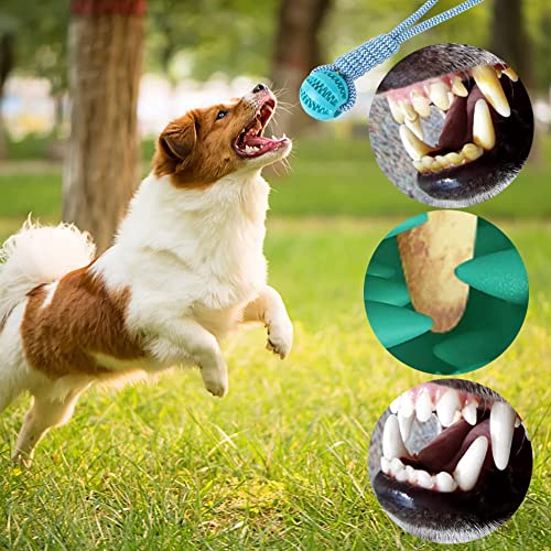 Lusacy 2 Stücke Hundeball mit Schnur, Hundespielzeug Ball mit Seil, Wurfspielzeug Hund Gummi, Hundeball Unzerstörbar 6cm, Kauspielzeug für Große Kleine Hunde Zahnpflege Fangen Tauziehen