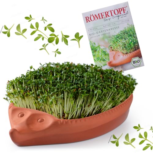 Römertopf Kresseigel Anzuchtschale aus Naturton Kresse-Set mit Kressesamen für erdlose Anzucht Kräutertöpfchen 24 cm spülmaschinenfest Geschenk für Kinder Tradition seit 1967