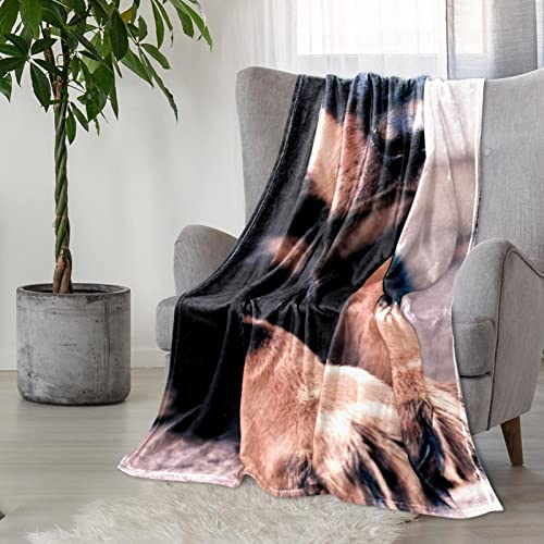 Couvertures chaudes et douces en peluche chiot noir plaid lit microfibre thermique