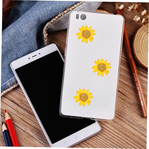 Flores prensadas naturales para manualidades 72 pcs miniatura 3