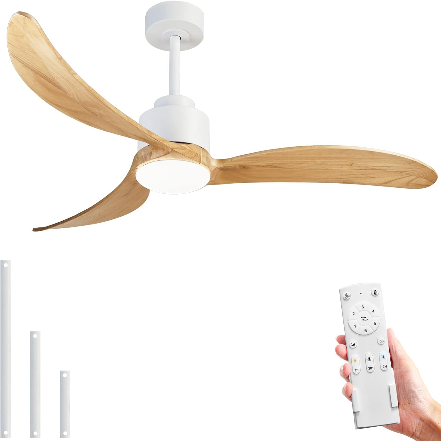 https://m.media-amazon.com/images/I/51p2qWFIImL._AC_SL1500_.jpg