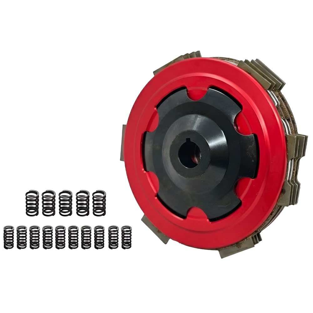 Frizione Racing F A B B R I FB24 EVO 15 Molle (5+10) per V e s p a Smallframe e A p e 50 Kit Frizione Completo per Motori fino a 30 CV Compatibile con V e s p a 50 Special, ET3, Primavera, PK, HP
