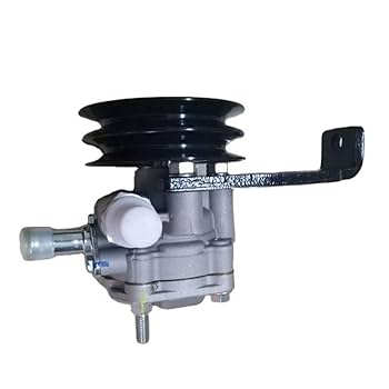 Amazon.com: Haiyazhma Power Steering Oil Pump ASSY