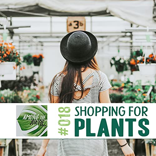 How to Select the BEST Houseplants when Plant Shopping