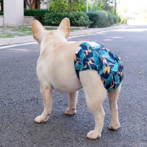 Image of CuteBone Washable Dog Diapers Female No Tail Hole 3 Pack Reusable Doggie Period Training Pants for Docked-Tail Frenchie French Bulldog Boston Terrier Without Tail WWD04M