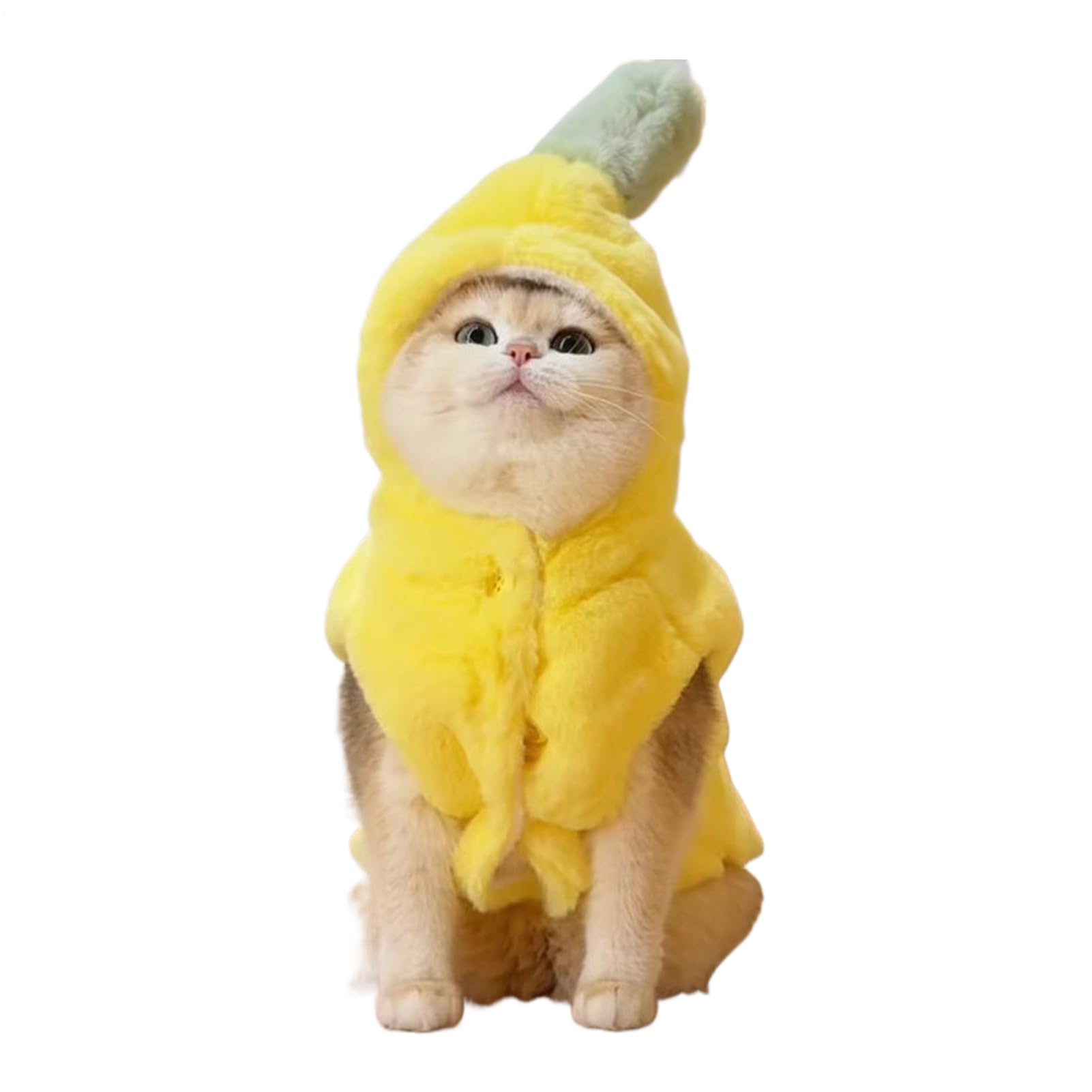 Costume de banane pour chien veste contre le froid pour petit chien et chat