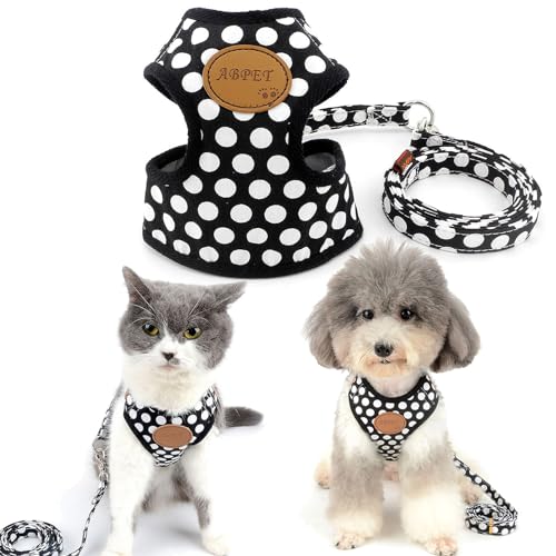 Smalllee_Lucky_Store - Ensemble Laisse en Nylon et Harnais en Maille Souple pour Chat et Chien Petit...