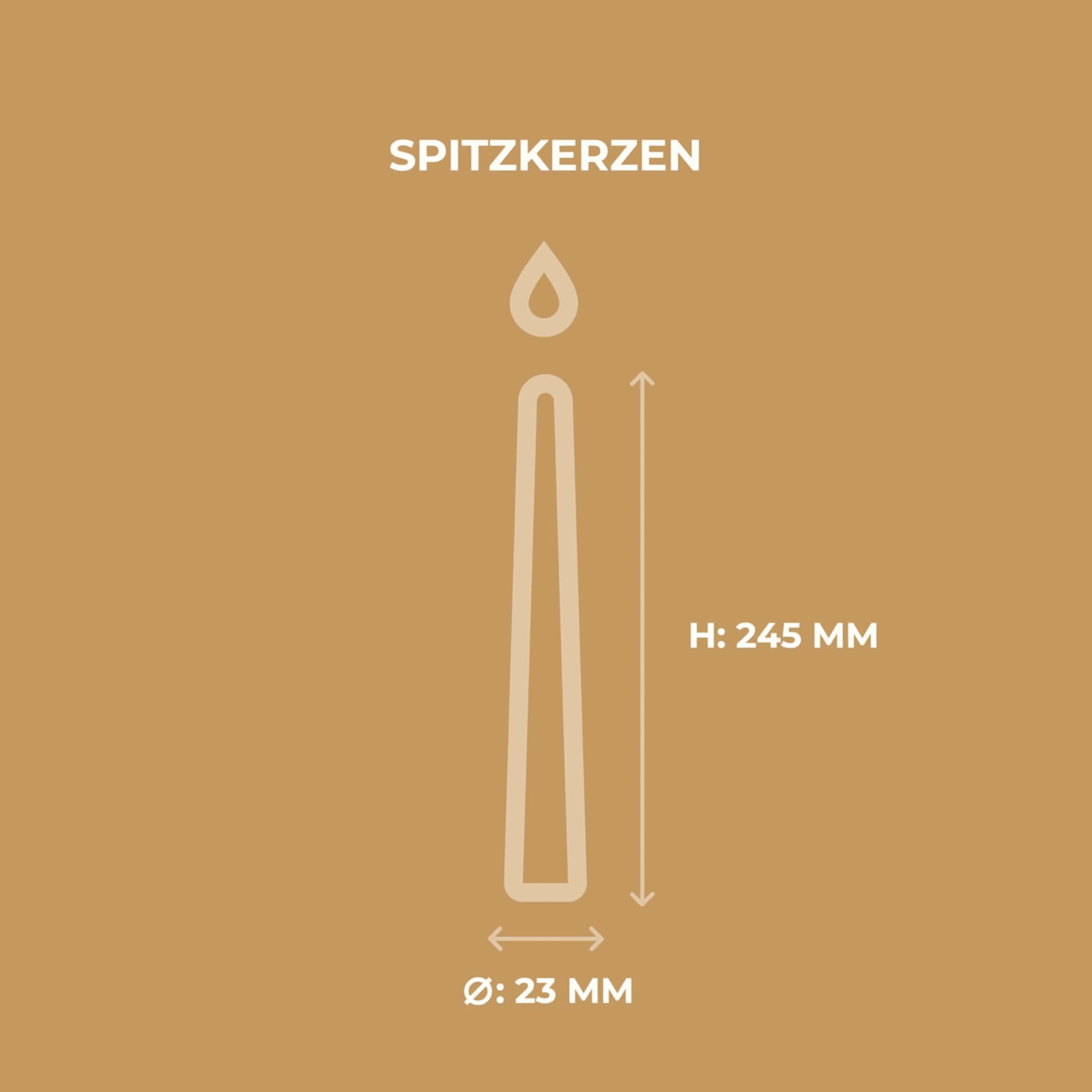 Horeca Candles - Spitzkerzen – Elfenbein Ø 2,3 x 25 cm - 150er Set Leuchterkerzen für Kerzenhalter - 7,5 Stunden Brenndauer - Tropffrei, Rauchfrei, Duftfrei