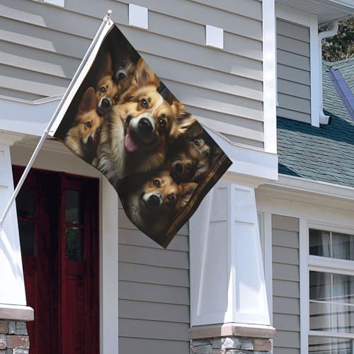 Drapeau extérieur Corgi anti-déchirure grand format double face toutes saisons