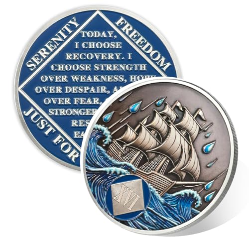 Image of Braving The Storm 16 Year Sober Coin, Nautical NA Coin, Addiction Recovery Sixteen Year Sober Chip, Celebrating Recovery Anniversary Token, Narcotics Anonymous Sobriety Gifts for Men Women