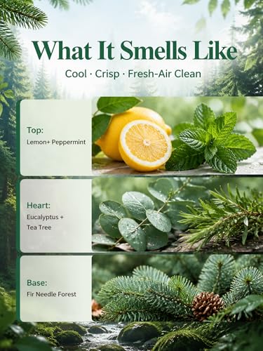 Essential Oil Blends For Anxiety