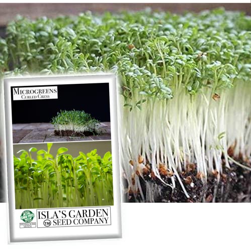 Curled Cress Microgreens Seeds for Planting, 500+ Heirloom Seeds Per