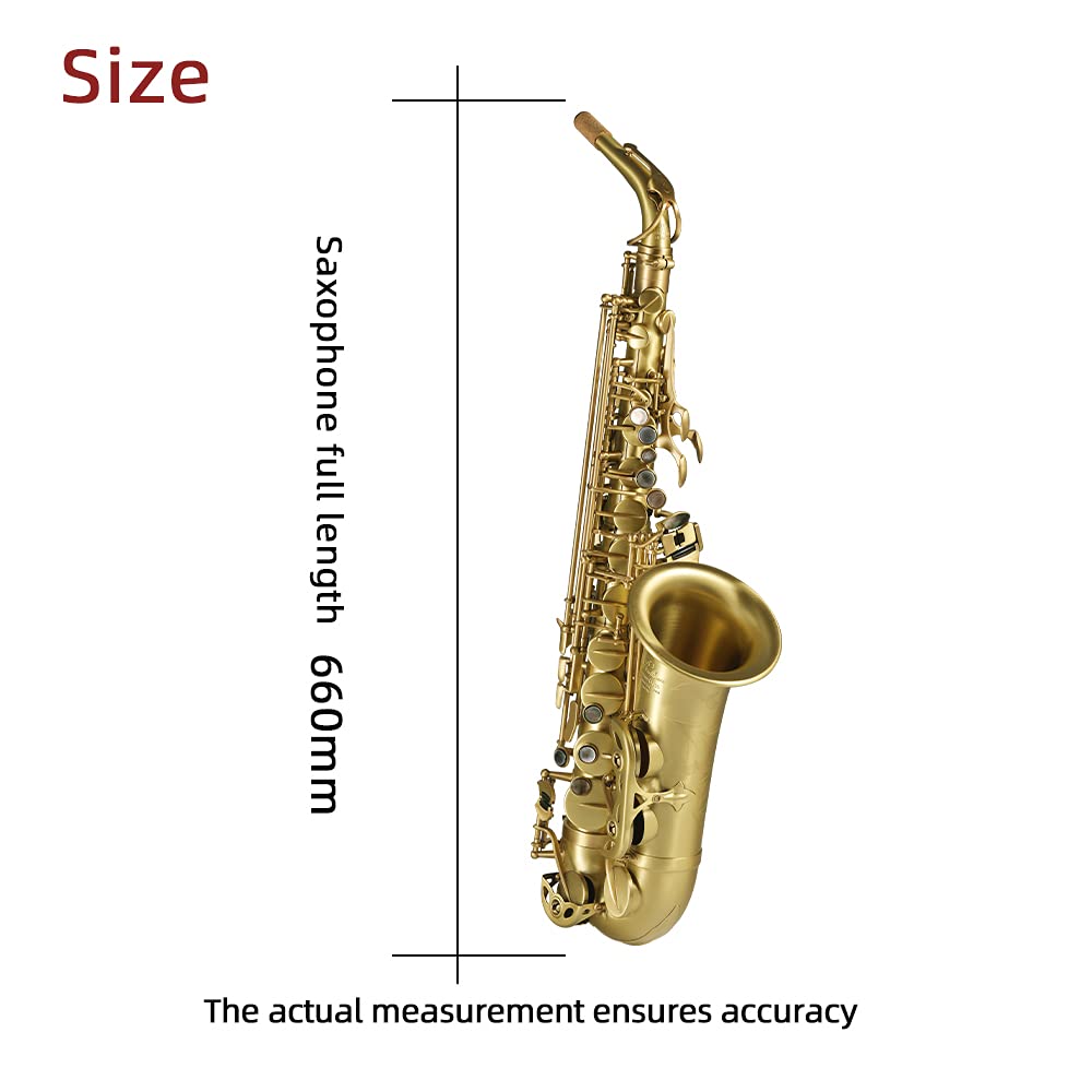 Rollins Saxophone alto RSA-X5,E flat Selmer 54-Key,Matière laiton,Or