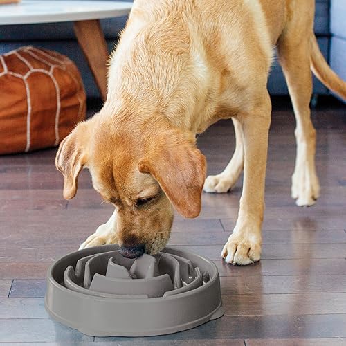 Outward Hound Slow Feeder Dog Bowl - Makes Meal Time Fun, Slows Down Eating, Promotes Healthy Digestion, Prevents Bloat | Slip Resistant and Durable, Food & Water Bowl, Size Large (Grey) - Image 6