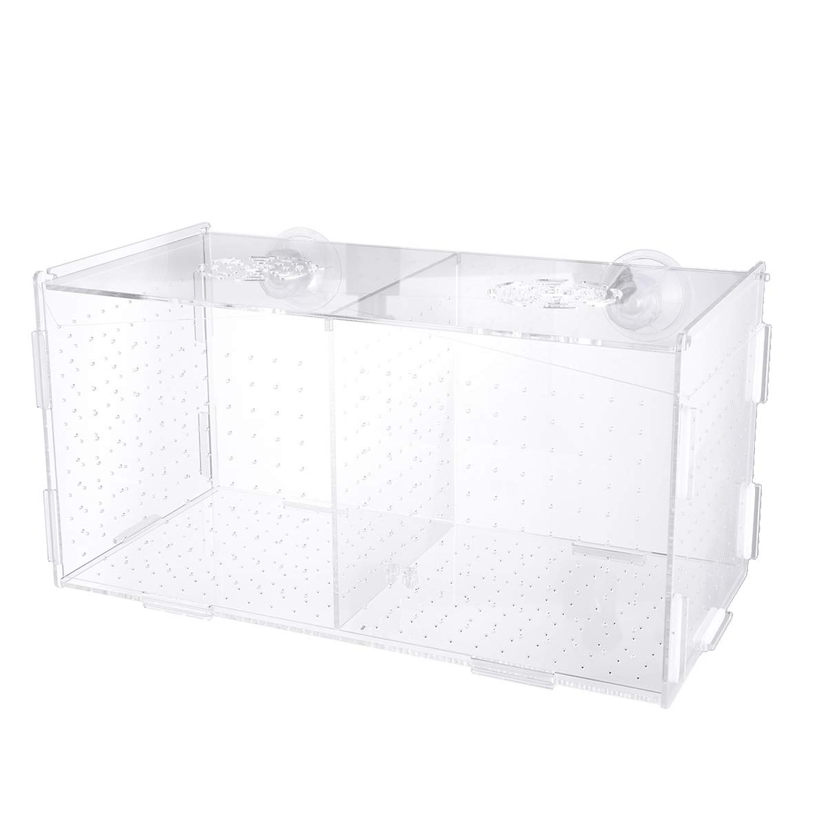 Buy POPETPOP Fish Breeding BoxIsolation Box Breeder Hatchery Incubator Aquarium Fish Breeding