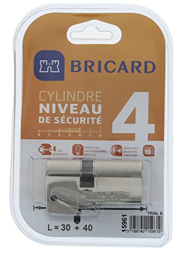 Bricard 15961 Cylindre Trial S 30+40 nickelé double entrée/niveau de...