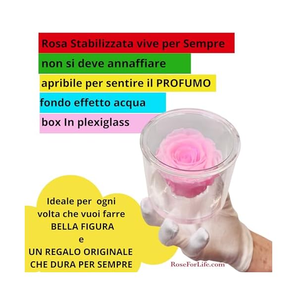 Box tondo con rosa rosa stabilizzata Profumata, Box con Rosa rosa stabilizzata Eterna | Idea Regalo Natale, Mamma, Nonna, Amica, Bomboniera per lei | Fatto in Italia (Rosa 1045) - immagine 6