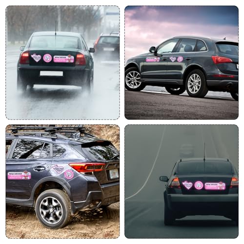 3 Magnetische Aufkleber für Fahrschüler, Selbstklebend Reflektierende Aufkleber für Fahranfänger Logo für Fahranfänger für Fahranfänger (Gans)