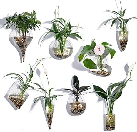 Amazon Co Jp ホームオフィス室内装飾の壁ハンギングプランター空気植物ホルダーの形状花瓶 8個入り 様式1 ホーム キッチン Amazon Co Jp ホームオフィス室内装飾の壁ハンギングプランター空気植物ホルダーの形状花瓶 8個入り 様式1 ホーム キッチン