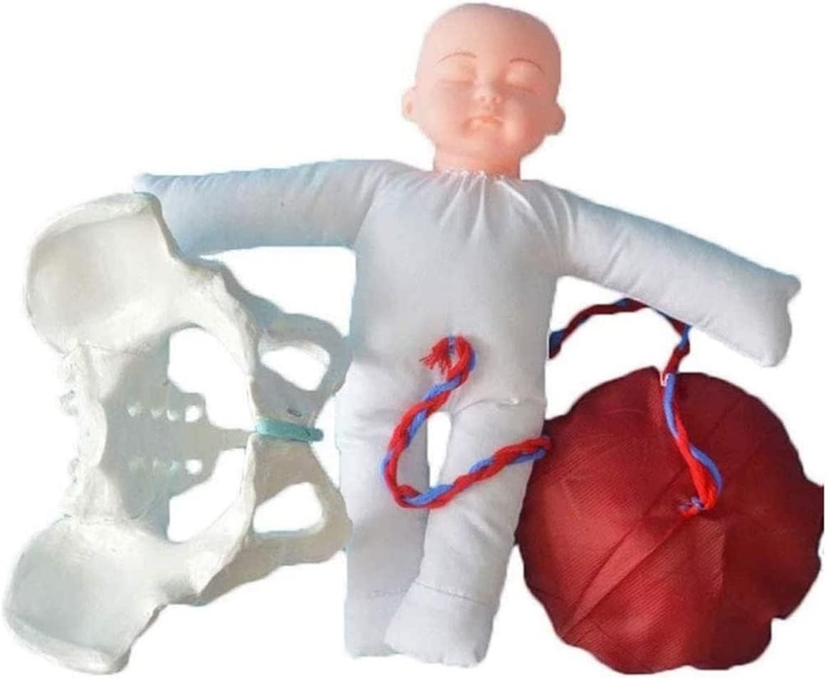 Model miednicy demonstracyjny do porodu, dziecko i miednica rozdzielne, naturalnej wielkości model do nauki położnictwa przy porodzie, przeznaczony do nauczania ginekologii.