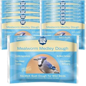 Blue Seal Mealworm Medley Suet Dough Cake | No Mess Wild Bird Suet | 12 oz (12 Pack)