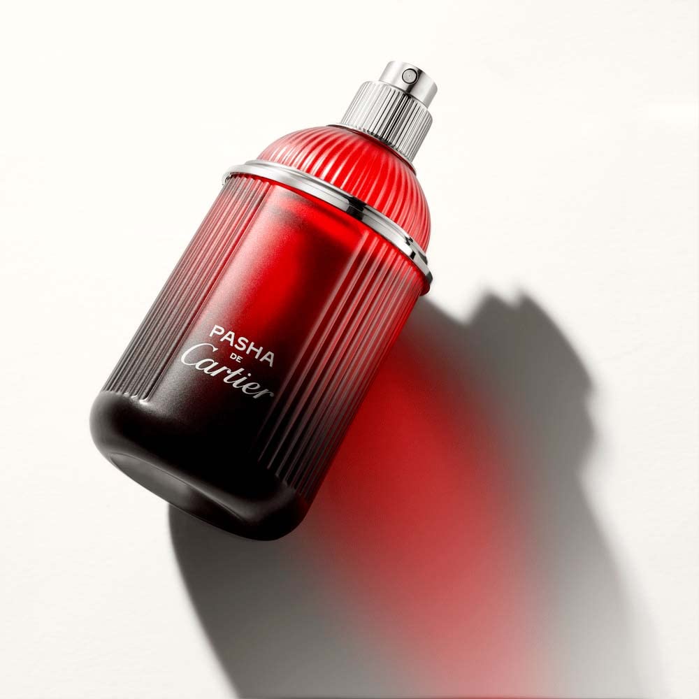 Cartier Pasha noire Edition Sport Eau de Toilette, 1er Pack (1 x 100 ml)