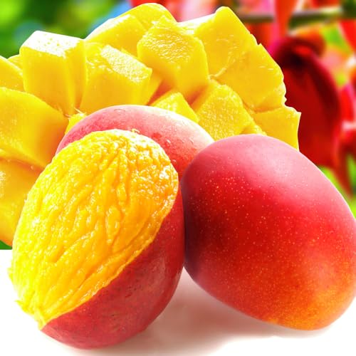 �}���S�[ 1.2kg �A�b�v���}���S�[ ��p�Y ����䊉� ���ƒ�p �A�[�E�B���� ���z�̂��܂��Ɠ����i�� �①�� �H�i