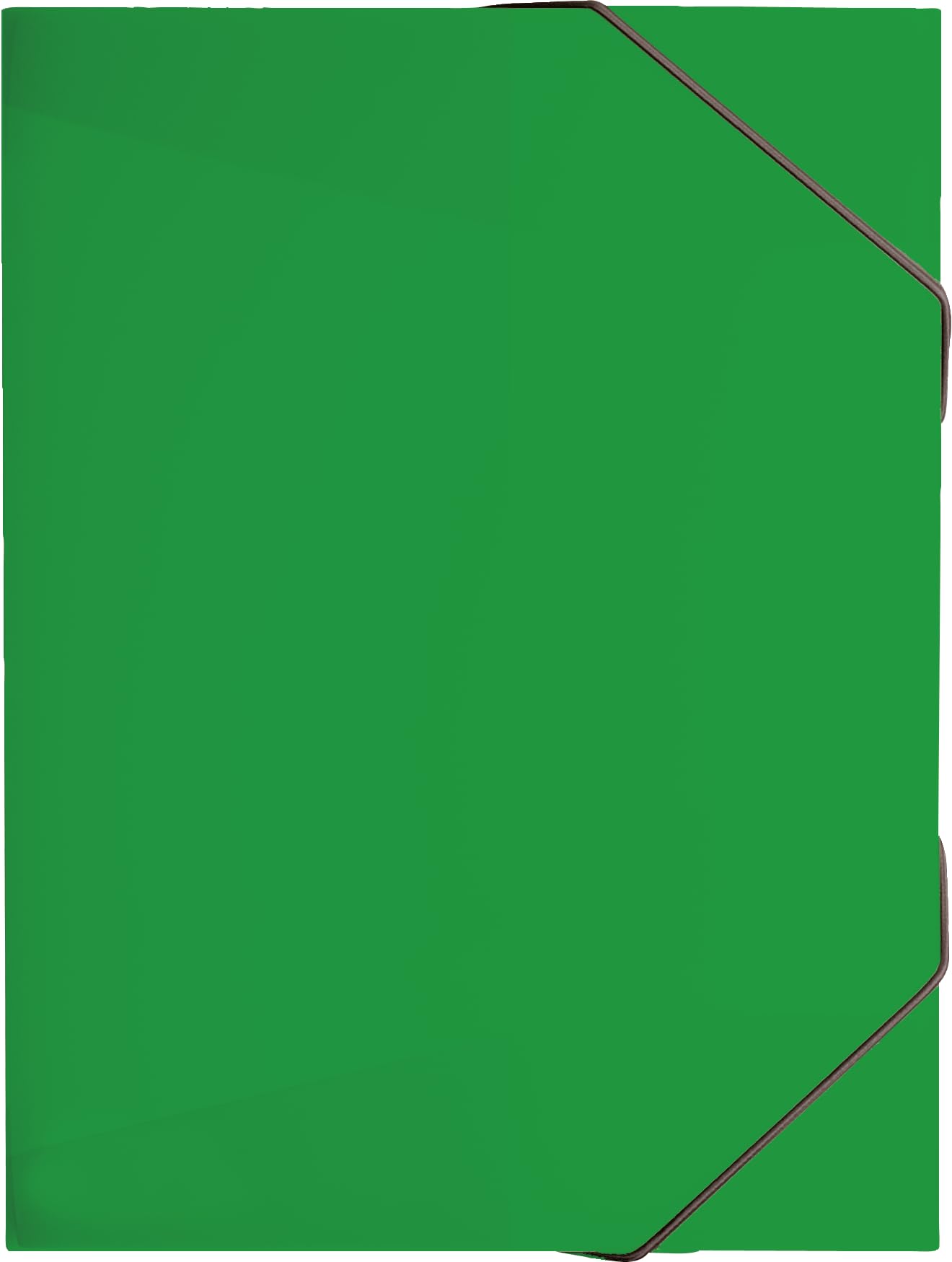 Brunnen-10 raccoglitori A4 FACT Verde, 1026366199