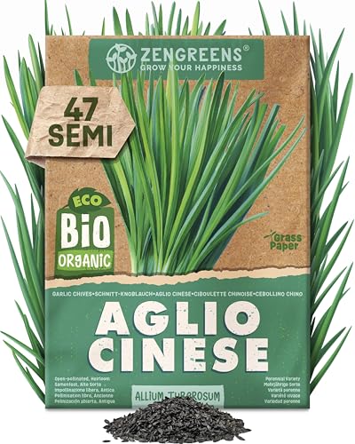 ZenGreens® Semi di aglio cinese biologico - Semi di erbe aromatiche per la coltivazione in giardino, sul balcone o in cucina - Ideali per i principianti - Erba Cipollina Cinese