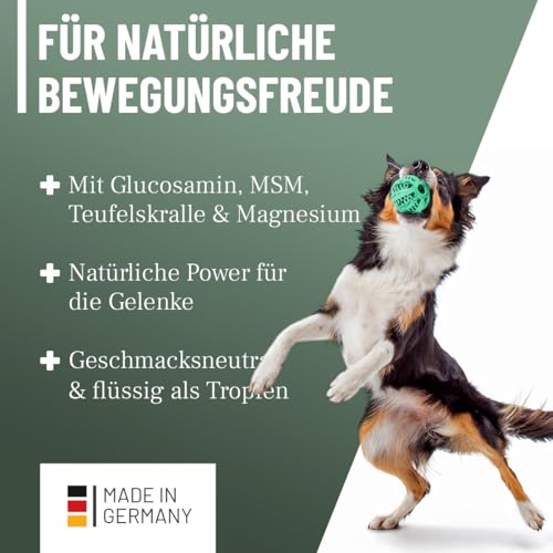ReaVET Gelenk Liquid Tropfen für Hunde & Katzen – mit Glucosamin, MSM I zur Unterstützung der Beweglichkeit I Gelenk-Tropfen statt Gelenktabletten Gelenkpulver für Gelenke & Knochen