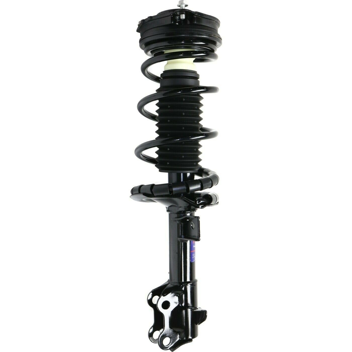 Amazon.com: MOXMEEX 2 Pieces Front Side Shock Strut Assembly 