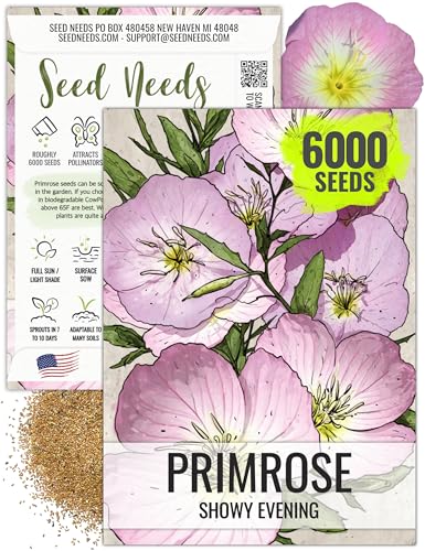 Seed Needs, Showy Evening Primrose Seeds - 6,000 Seeds for Planting Oenothera speciosa - Perennial Pink Blooms to Attract Butterflies/Pollinators (1 Pack)