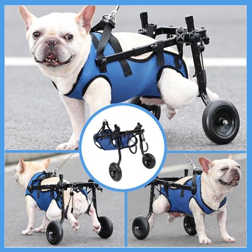 Silla de ruedas para perros mini: soporte de cadera para paseos cómodos en parques y jardines 5