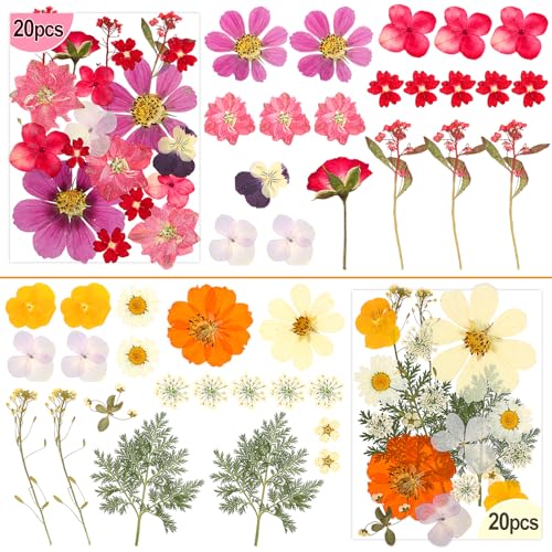 Image of 120 PCS Real Pressed Flowers, Natural Dried Pressed Flowers for Resin, Dried Florals Dry Flowers Leaves Kit with Tweezers for Scrapbooking DIY Art Crafts, Mother's Day Birthday Gift