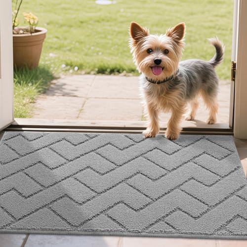 Biscpro Door Mat,50x80cm DoorMat Indoor Washable,Doormat Indoor Dirt Trapper Non-slip,Absorbent Inside Entrance Rug Mat for Entryway,Patio,Garden,Laundry Room,Pets-Light Grey
