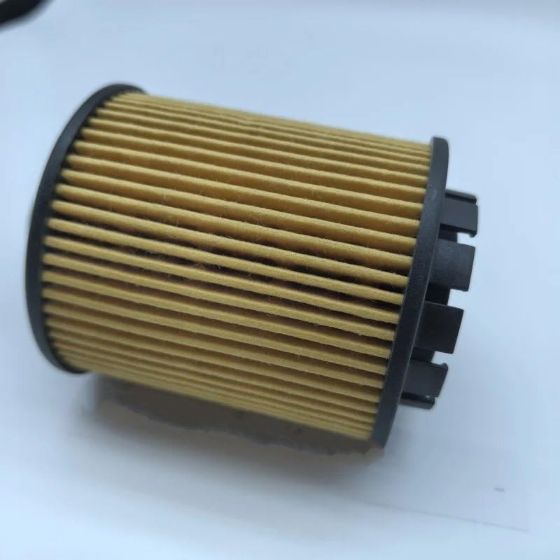 Filtro de aceite para renovación de motor en Mocha Latte DHT y POER 5