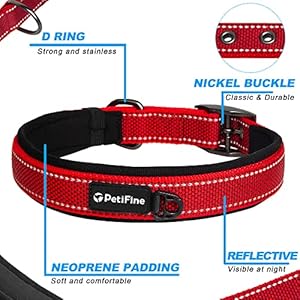 Petifine Dog Collar with Metal Buckle Heavy Duty Dog Collar with Soft Neoprene Padded Adjustable Reflective Nylon Dog Collars for Small Medium Large Dogss Red Cucciolini Doodles Petifine dog collar with metal buckle heavy duty dog collar with soft neoprene padded adjustable reflective nylon dog collars for small medium large dogss red cucciolini doodles