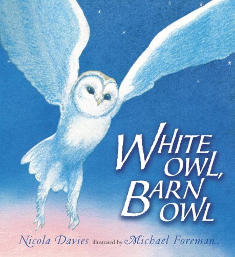 White Owl, Barn Owl (Read and Wonder)