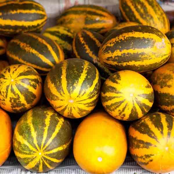 Sambhar Cucumber Madras Kakdi Seeds Pack Of 30 (B0BGC8R2TX) Amazon Price History, Amazon Price Tracker