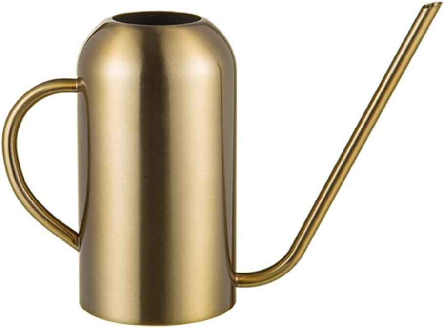 Stainless Steel Watering Can with Long Spout 1.5L Large Capacity for Outdoor Garden Plants and Indoor Succulent Watering