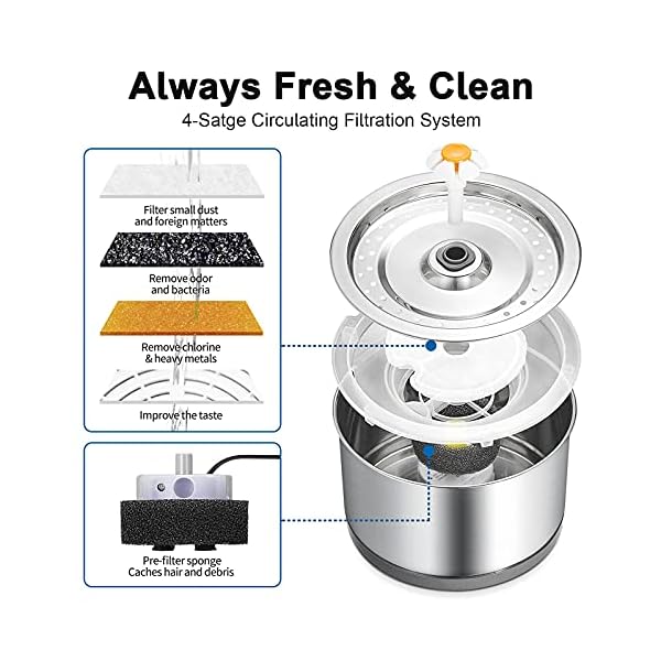 Diealles Shine Katzenbrunnen Edelstahl, 2.5L Ultra-Leise Katzen Trinkbrunnen, Wasserspender Katzen Elektrisch mit Pumpe Filter Reinigungsbürsten LED-Licht für Katze Hunde – Bild 4